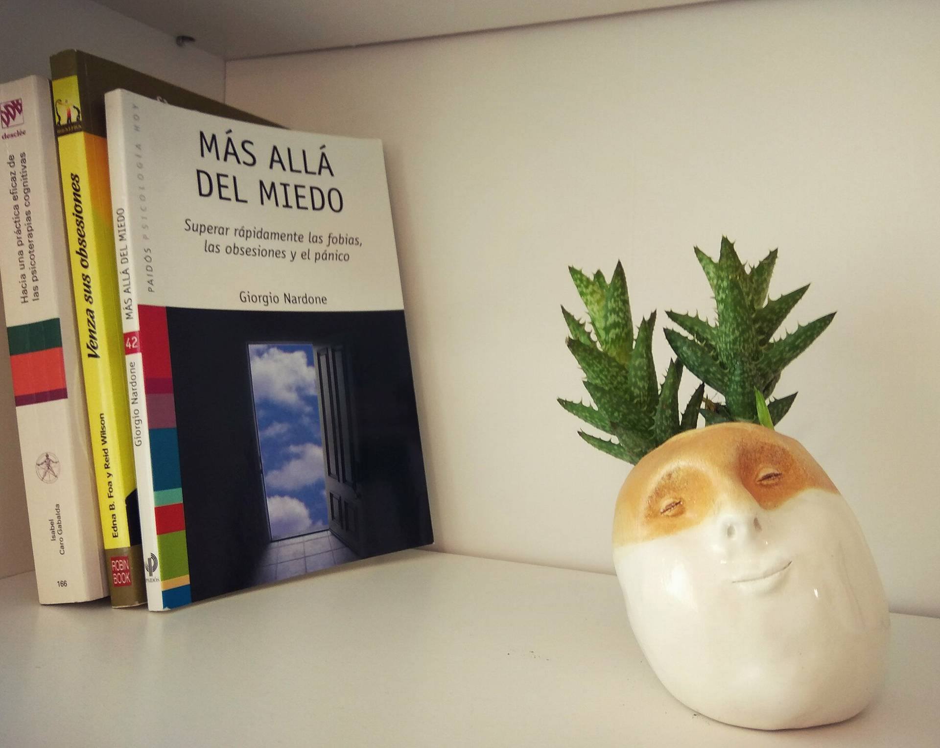 22070523_1841837339460287_285778883_o